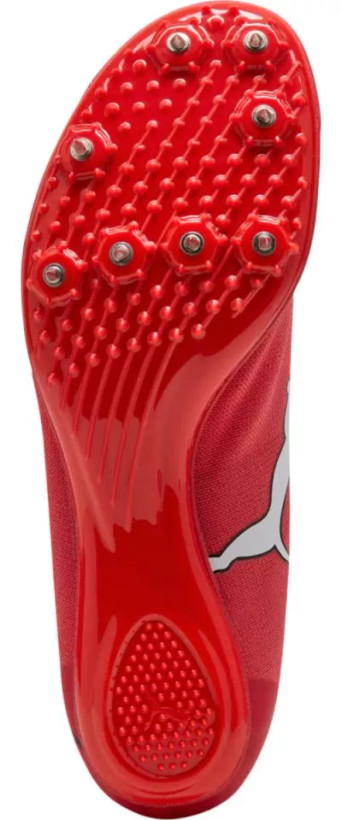 Puma evoSPEED Brush 7